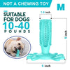 Pet Dog Toothbrush Chew Toy Doggy Brush Stick Soft Rubber Teeth Cleaning Dot Massage Toothpaste for Small dogs Pets Toothbrushes